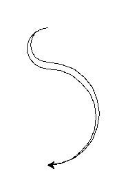 python - rysowanie w turtle - koło